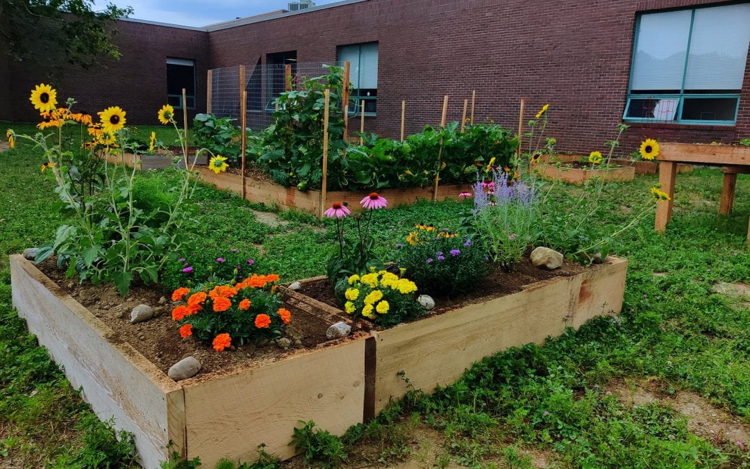 Campus Community Garden Proves to be Immense Success